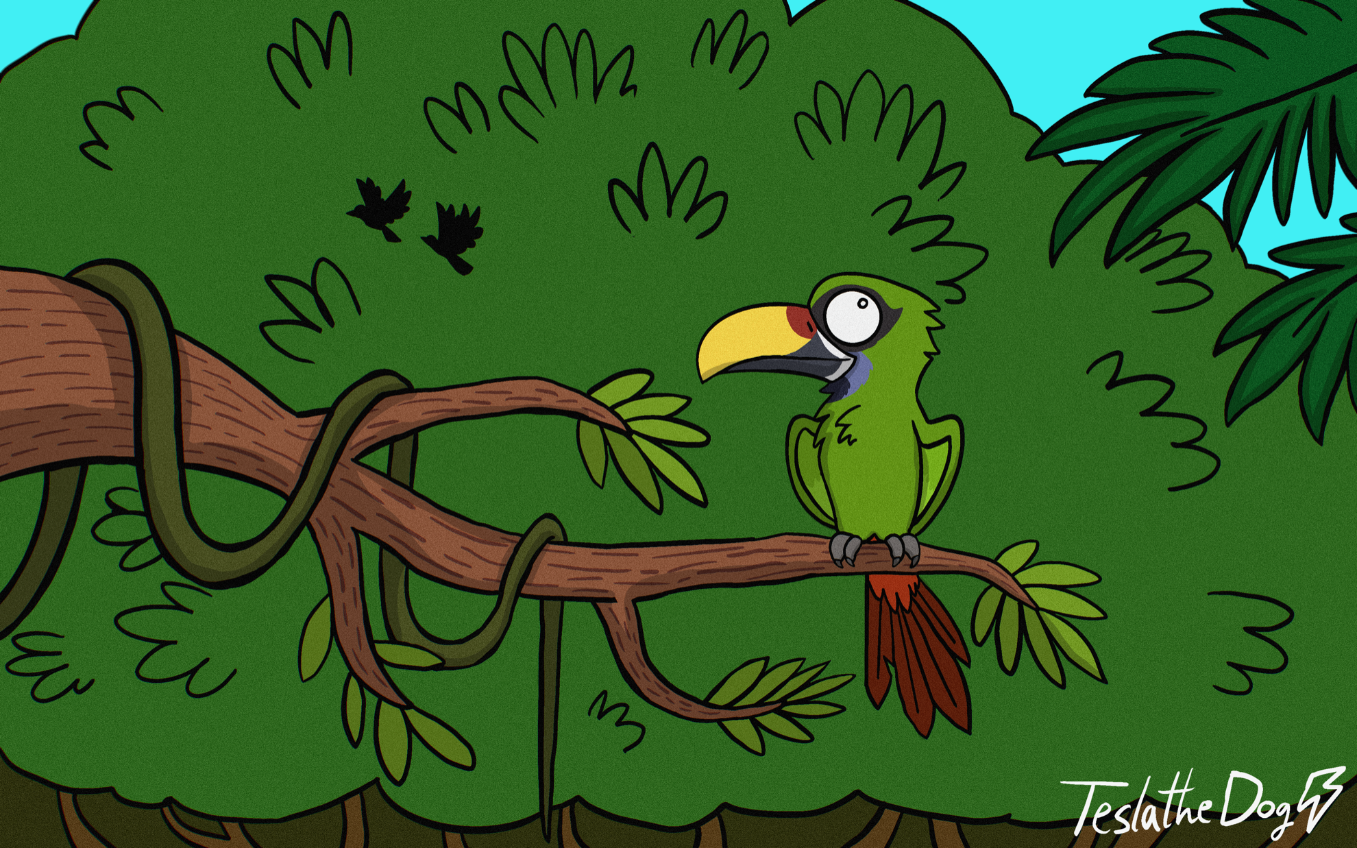 Bird in Jungle