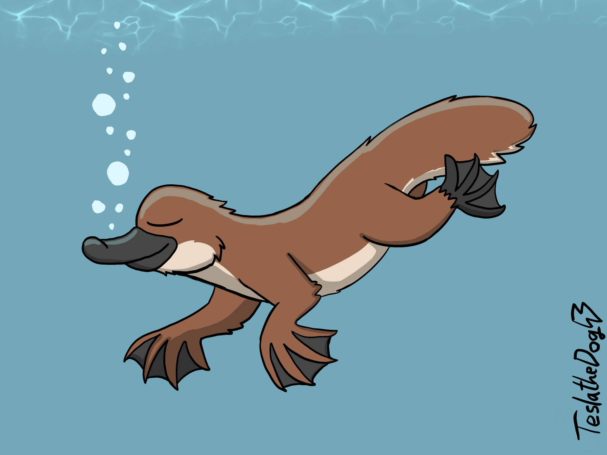 Platypus